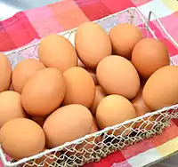 クラフトプリンプラント鎌倉店